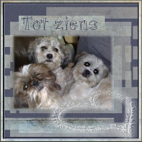 Ria-doggiesHennie-totziens.jpg